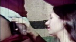 'My Dads Dirty Movies - Volume 13' screenshot nº 29