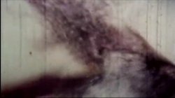 'My Dads Dirty Movies - Volume 13' screenshot nº 41