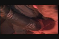 'Tangled' screenshot nº 127