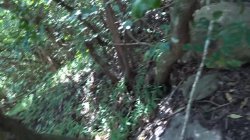 Captura de 'Bad Girls Do It Better' nº 7
