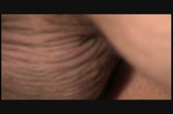 'Haiku' screenshot nº 126