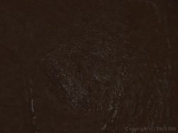 'Big Booty Breakdown' screenshot nº 95
