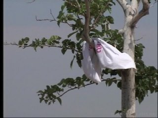 Barely Legal Summer Camp 1 &amp; 2 - Scene9 - 3