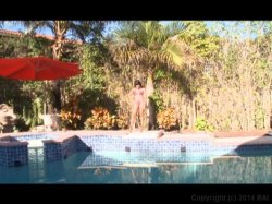 'Brown Bunnies Vol. 7' screenshot nº 53