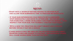 Captura de 'Kink School - An Intermediate Guide To BDSM' nº 31