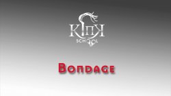 Captura de 'Kink School - An Intermediate Guide To BDSM' nº 75
