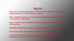 Captura de 'Kink School - An Intermediate Guide To BDSM' nº 93