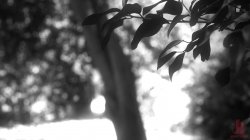 'Sex And Submission - Lost and Afraid' screenshot nº 12