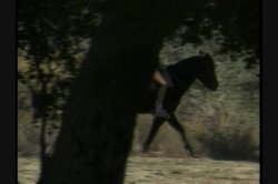 'New Barbarians 1, The' screenshot nº 135