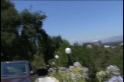 Captura de 'Big Ass Anal Heaven 9' nº 4