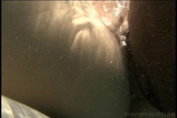 Captura de 'Big Ass Anal Heaven 9' nº 73
