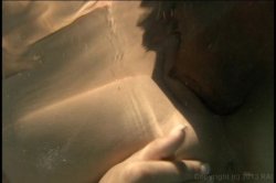 Captura de 'Big Ass Anal Heaven 9' nº 74