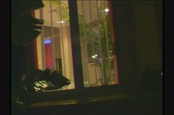 'Defend Our Porn' screenshot nº 15