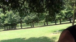 'Fighe giovani, culi sfondati' screenshot nº 5