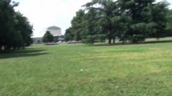'Fighe giovani, culi sfondati' screenshot nº 2