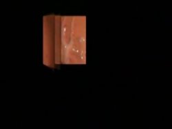 Captura de 'Anal All Stars 2' nº 80