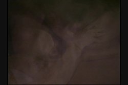 'Deep Inside Debi Diamond' screenshot nº 116