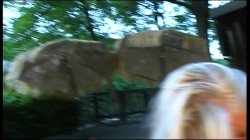 'Amazzoni a Caccia di Cazzi' screenshot nº 51