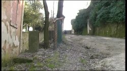 'Amazzoni a Caccia di Cazzi' screenshot nº 65