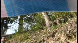 'Amazzoni a Caccia di Cazzi' screenshot nº 72