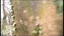 'Amazzoni a Caccia di Cazzi' screenshot nº 76