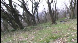 'Amazzoni a Caccia di Cazzi' screenshot nº 77