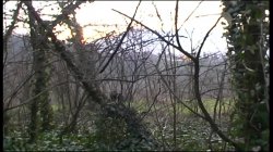 'Amazzoni a Caccia di Cazzi' screenshot nº 81