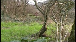 'Amazzoni a Caccia di Cazzi' screenshot nº 82