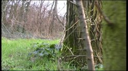 'Amazzoni a Caccia di Cazzi' screenshot nº 83