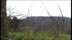 'Amazzoni a Caccia di Cazzi' screenshot nº 84