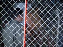 Captura de 'Transsexual Prostitutes 6 - Streets of San Francisco' nº 93