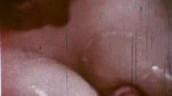 'Busty Stars of the Stags' screenshot nº 71