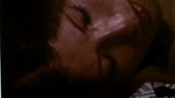 'Busty Stars of the Stags' screenshot nº 74