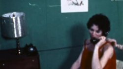 'Busty Stars of the Stags' screenshot nº 80