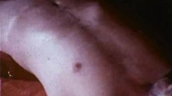 'Busty Stars of the Stags' screenshot nº 94