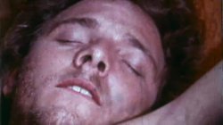 'Busty Stars of the Stags' screenshot nº 96