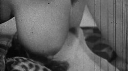 'Busty Stars of the Stags' screenshot nº 110