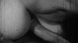 'Busty Stars of the Stags' screenshot nº 111