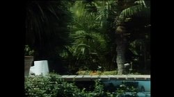 'Le Depravazioni Di Milly' screenshot nº 37