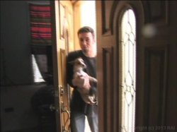 Captura de 'Well Hung Amateurs 3' nº 37
