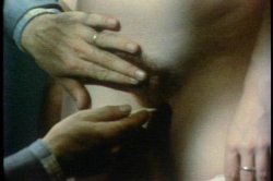 'Succulent' screenshot nº 99