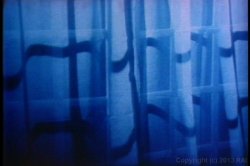 'Succulent' screenshot nº 1