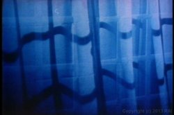 'Succulent' screenshot nº 2