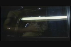 Captura de 'All About Sharon Kane' nº 13