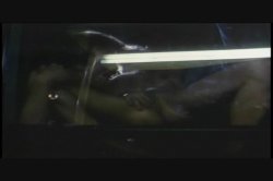 Captura de 'All About Sharon Kane' nº 16