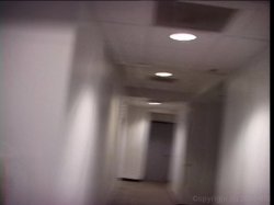 'Real 2 Reel' screenshot nº 79