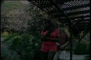 Black Dick Shemales Vol. 2 - Scena11 - 1