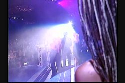 '2003 AVN Awards' screenshot nº 84