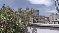 Captura de 'Busting Damaris' ass' nº 2