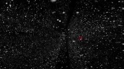 Captura de 'MILFs Like It Black #5' nº 69